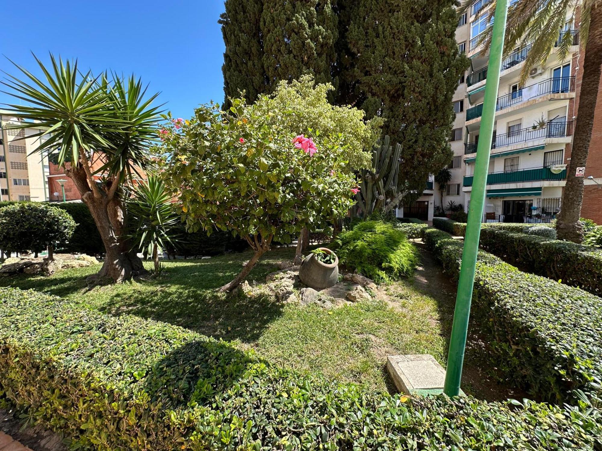Studio Pollux Lejlighed Torremolinos Eksteriør billede